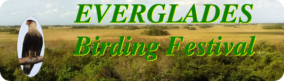 The Everglades Birding Festival