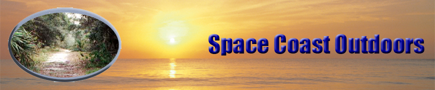 Birding on the Space Coast of Florida
