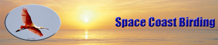 To the Space Coast Birding website.